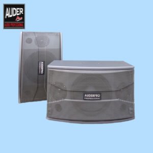 Speaker Pasif Karaoke AUDERPRO AP-10KX, 10 Inch