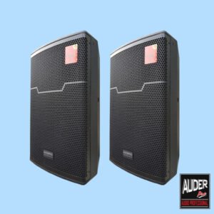 Speaker Pasif Professional AUDERPRO AP-135PX, 15 Inch